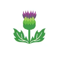 Highland Business